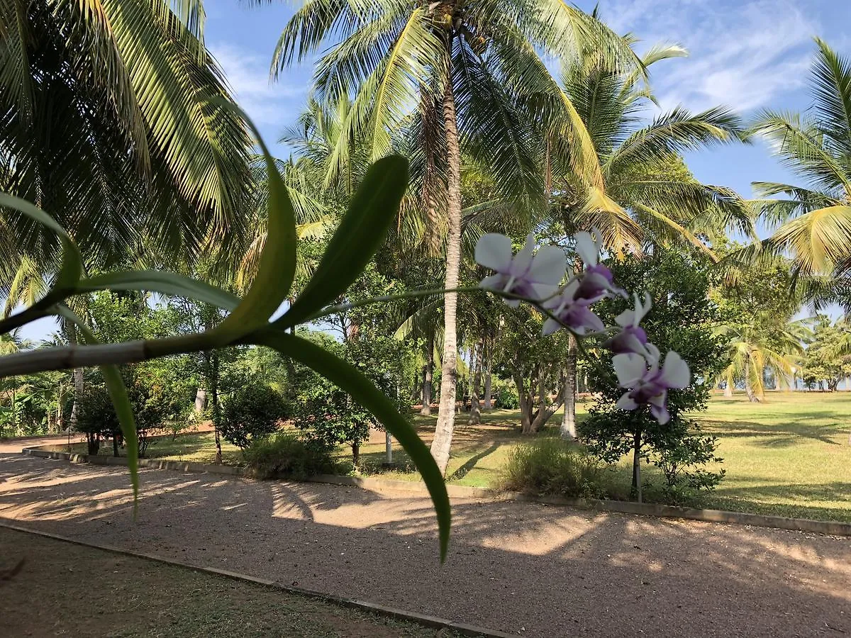 Hotel Lagoon Paradise Negombo Sri Lanka