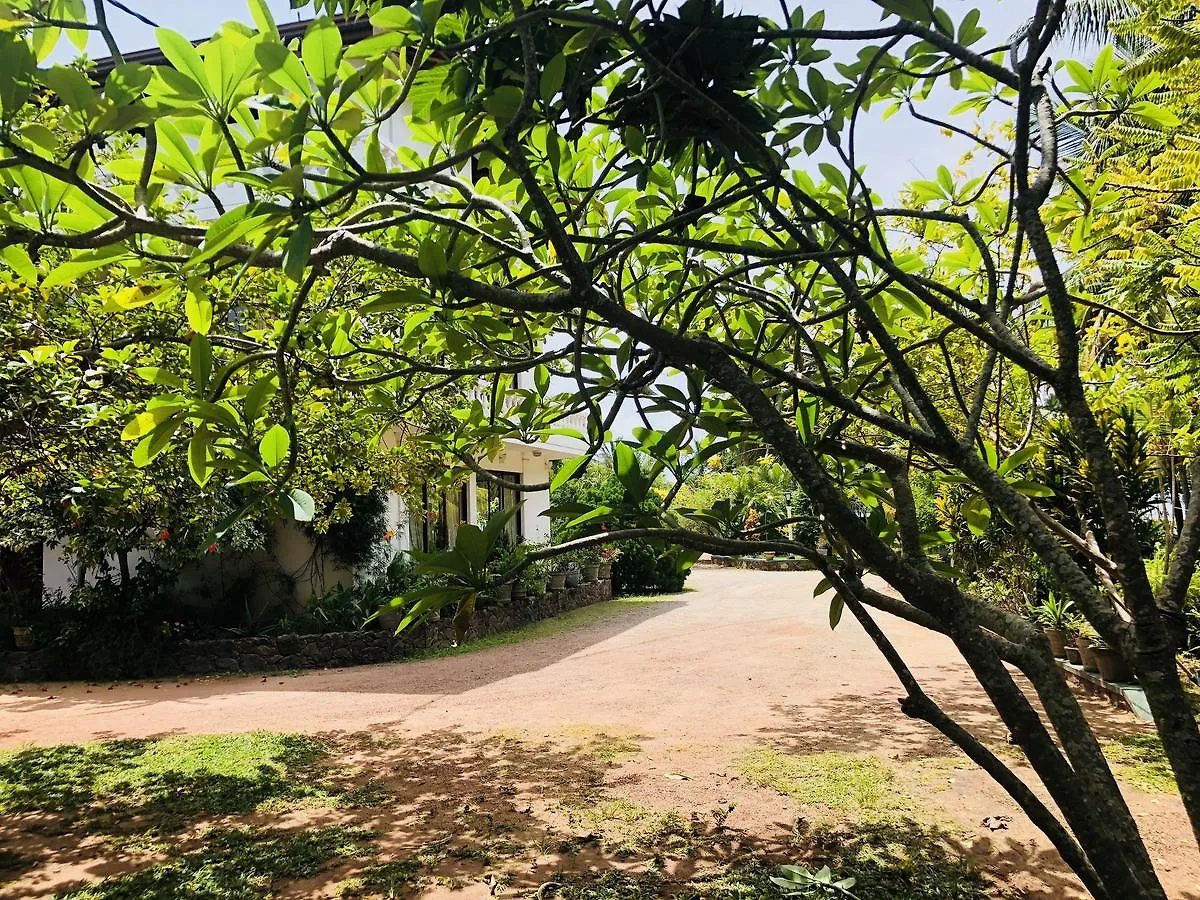 Hotel Lagoon Paradise Negombo