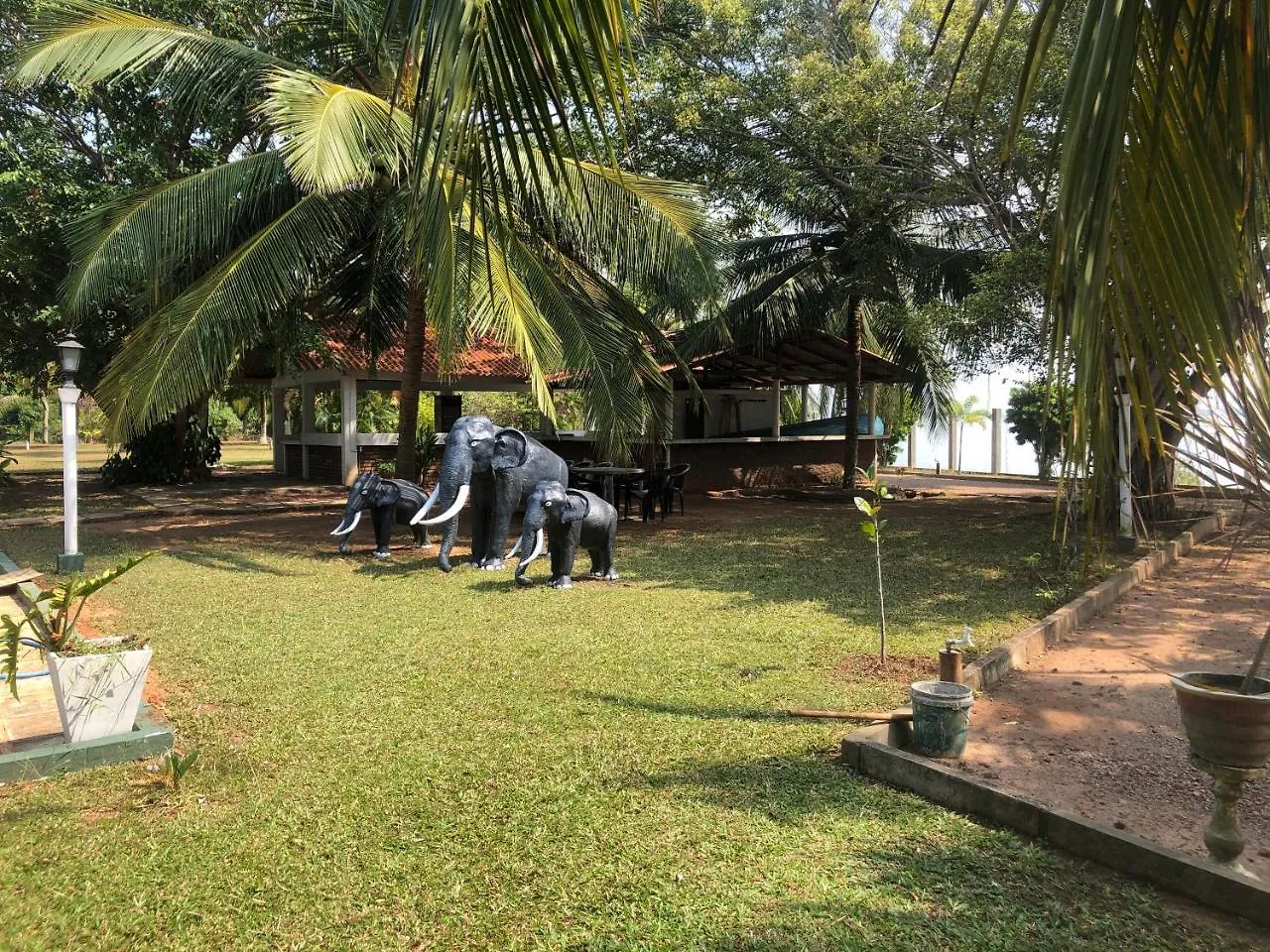 Hotel Lagoon Paradise Negombo